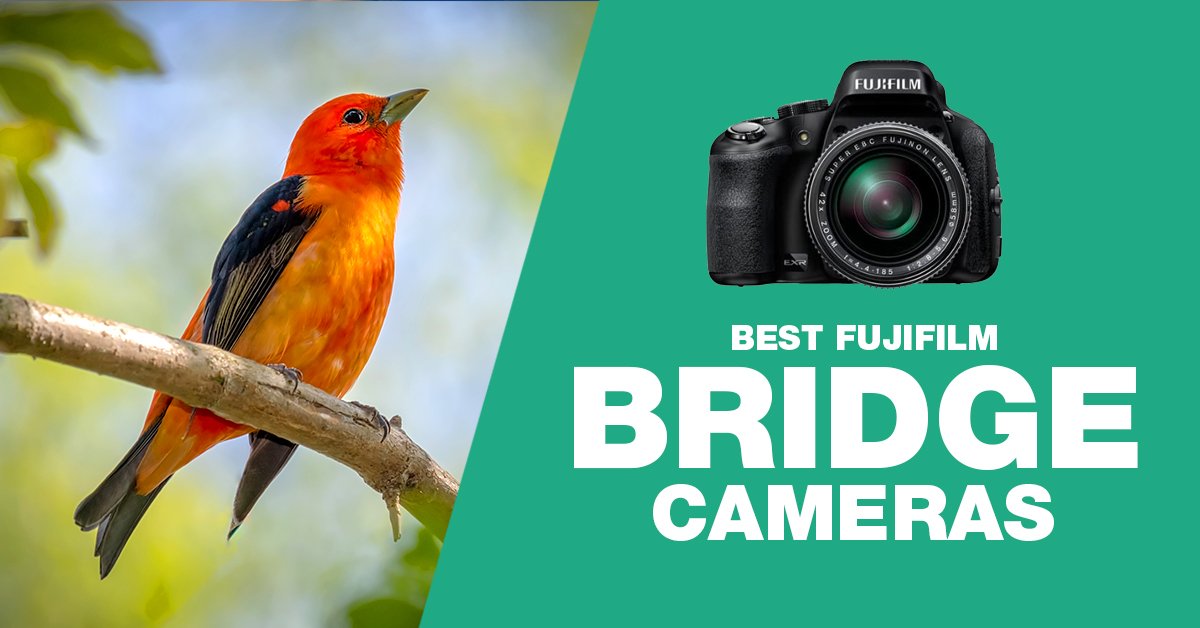 best fujifilm bridge cameras graphic