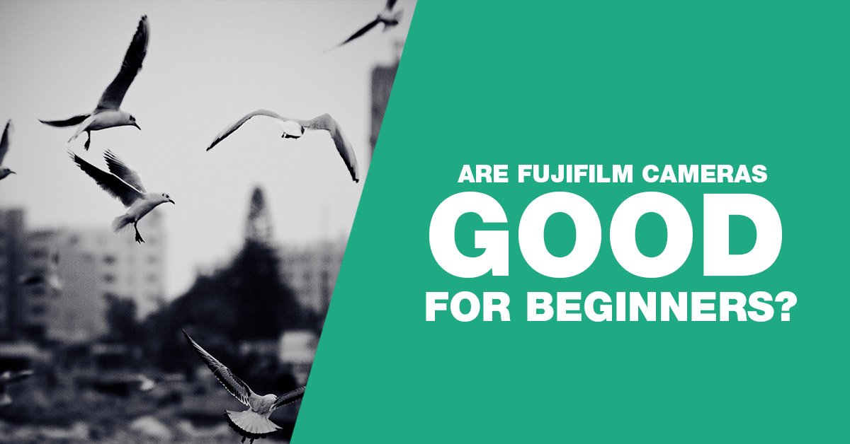 are fujifilm cameras good for beginners graphic